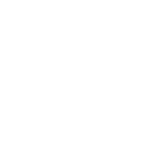 logoTottus